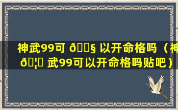 神武99可 🐧 以开命格吗（神 🦅 武99可以开命格吗贴吧）